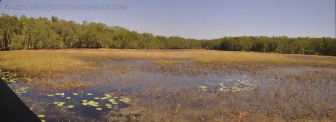 NT Wildlife Park Wetlands NT Wildlife Park Wetlands