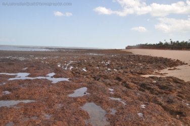 5Mile Beach 2 007 DSC 0183 5Mile Beach 2 007 DSC 0183