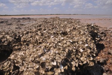 5Mile Beach 2 021 DSC 0197 5Mile Beach 2 021 DSC 0197