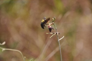 5Mile Beach 2 075 DSC 0251 5Mile Beach 2 075 DSC 0251