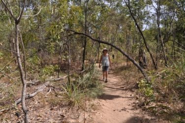 Anbangbang Billabong Kakadu 002 2021 08 06 11 55 39 DSC 0960 Anbangbang Billabong Kakadu 002 2021 08 06 11 55 39 DSC 0960