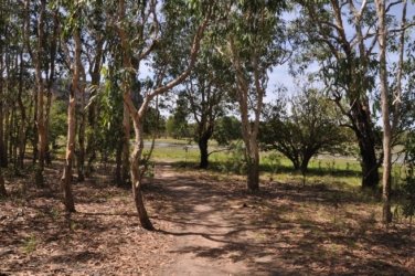 Anbangbang Billabong Kakadu 003 2021 08 06 11 58 07 DSC 0961 Anbangbang Billabong Kakadu 003 2021 08 06 11 58 07 DSC 0961