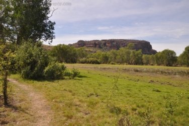 Anbangbang Billabong Kakadu 008 2021 08 06 12 00 46 DSC 0966 Anbangbang Billabong Kakadu 008 2021 08 06 12 00 46 DSC 0966