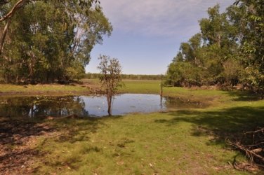 Anbangbang Billabong Kakadu 011 2021 08 06 12 10 50 DSC 0969 Anbangbang Billabong Kakadu 011 2021 08 06 12 10 50 DSC 0969