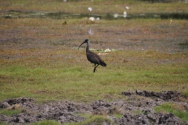 Anbangbang Billabong Kakadu 012 2021 08 06 12 15 25 DSC 0970 Anbangbang Billabong Kakadu 012 2021 08 06 12 15 25 DSC 0970