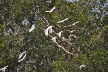 Anbangbang Billabong Kakadu 017 2021 08 06 12 15 40 DSC 0975 Anbangbang Billabong Kakadu 017 2021 08 06 12 15 40 DSC 0975