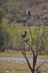 Anbangbang Billabong Kakadu 038 2021 08 06 12 36 56 DSC 0996 Anbangbang Billabong Kakadu 038 2021 08 06 12 36 56 DSC 0996