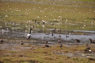 Anbangbang Billabong Kakadu 042 2021 08 06 12 37 31 DSC 1000 Anbangbang Billabong Kakadu 042 2021 08 06 12 37 31 DSC 1000