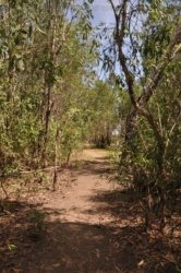 Anbangbang Billabong Kakadu 056 2021 08 06 12 47 12 DSC 0007 Anbangbang Billabong Kakadu 056 2021 08 06 12 47 12 DSC 0007