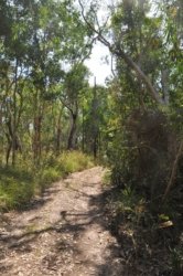 Anbangbang Billabong Kakadu 073 2021 08 06 14 55 16 DSC 0024 Anbangbang Billabong Kakadu 073 2021 08 06 14 55 16 DSC 0024