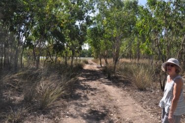 Anbangbang Billabong Kakadu 074 2021 08 06 15 02 37 DSC 0025 Anbangbang Billabong Kakadu 074 2021 08 06 15 02 37 DSC 0025