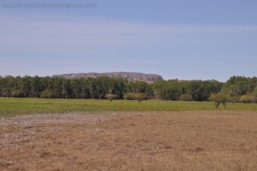 Anbangbang Billabong Kakadu 087 2021 08 06 15 29 51 DSC 0038 Anbangbang Billabong Kakadu 087 2021 08 06 15 29 51 DSC 0038