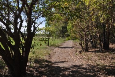 Anbangbang Billabong Kakadu 106 2021 08 06 15 49 12 DSC 0057 Anbangbang Billabong Kakadu 106 2021 08 06 15 49 12 DSC 0057