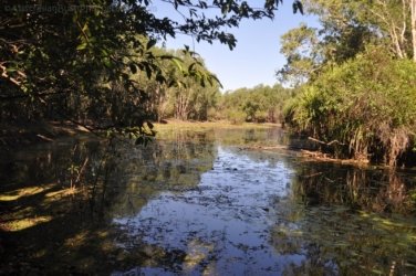 Anbangbang Billabong Kakadu 112 2021 08 06 15 59 15 DSC 0063 Anbangbang Billabong Kakadu 112 2021 08 06 15 59 15 DSC 0063