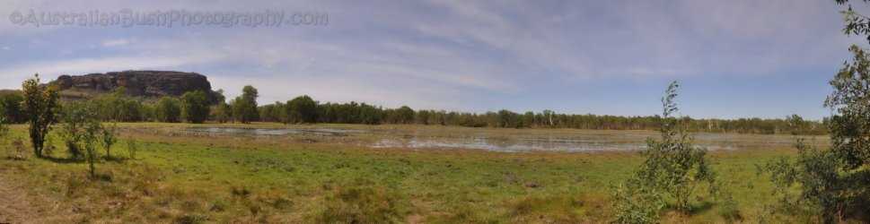 Anbangbang Billabong P1 Anbangbang Billabong P1