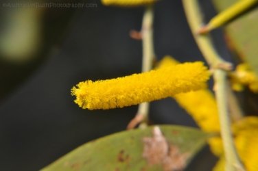 Bardedjilidji Sandstone Walk Kakadu 001 2021 08 08 09 33 43 DSC 0099 Bardedjilidji Sandstone Walk Kakadu 001 2021 08 08 09 33 43 DSC 0099