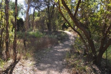 Bardedjilidji Sandstone Walk Kakadu 002 2021 08 08 10 01 23 DSC 0100 Bardedjilidji Sandstone Walk Kakadu 002 2021 08 08 10 01 23 DSC 0100