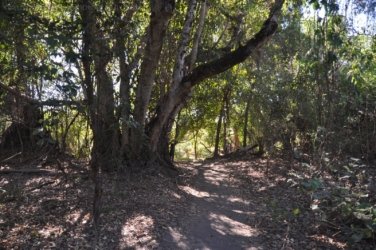 Bardedjilidji Sandstone Walk Kakadu 004 2021 08 08 10 05 58 DSC 0102 Bardedjilidji Sandstone Walk Kakadu 004 2021 08 08 10 05 58 DSC 0102