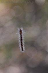 Bardedjilidji Sandstone Walk Kakadu 010 2021 08 08 10 11 23 DSC 0108 Bardedjilidji Sandstone Walk Kakadu 010 2021 08 08 10 11 23 DSC 0108