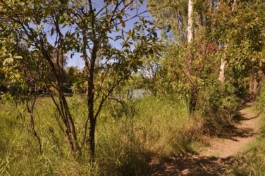 Bardedjilidji Sandstone Walk Kakadu 011 2021 08 08 10 14 20 DSC 0109 Bardedjilidji Sandstone Walk Kakadu 011 2021 08 08 10 14 20 DSC 0109