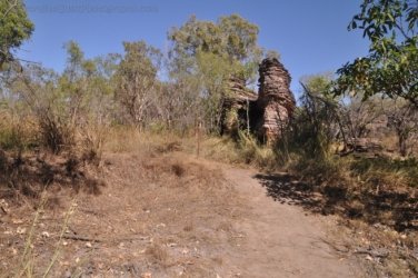 Bardedjilidji Sandstone Walk Kakadu 016 2021 08 08 10 23 04 DSC 0114 Bardedjilidji Sandstone Walk Kakadu 016 2021 08 08 10 23 04 DSC 0114