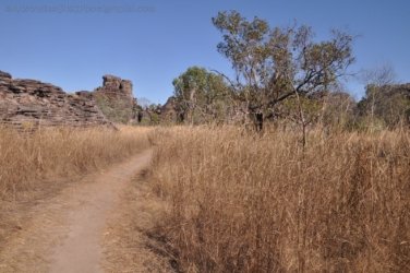 Bardedjilidji Sandstone Walk Kakadu 021 2021 08 08 10 28 21 DSC 0119 Bardedjilidji Sandstone Walk Kakadu 021 2021 08 08 10 28 21 DSC 0119