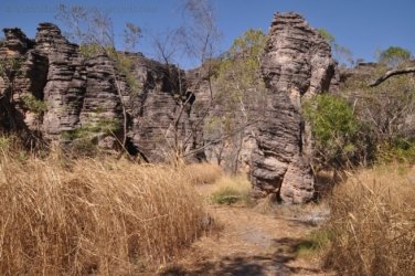 Bardedjilidji Sandstone Walk Kakadu 023 2021 08 08 10 35 04 DSC 0121 1 Bardedjilidji Sandstone Walk Kakadu 023 2021 08 08 10 35 04 DSC 0121 1