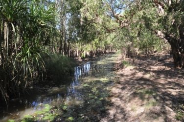 Bardedjilidji Sandstone Walk Kakadu 027 2021 08 08 10 41 15 DSC 0125 Bardedjilidji Sandstone Walk Kakadu 027 2021 08 08 10 41 15 DSC 0125