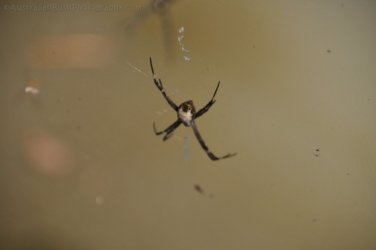 Bardedjilidji Sandstone Walk Kakadu 032 2021 08 08 10 44 09 DSC 0130 Bardedjilidji Sandstone Walk Kakadu 032 2021 08 08 10 44 09 DSC 0130