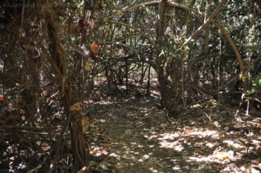 Bardedjilidji Sandstone Walk Kakadu 033 2021 08 08 10 50 42 DSC 0131 Bardedjilidji Sandstone Walk Kakadu 033 2021 08 08 10 50 42 DSC 0131