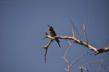 Bardedjilidji Sandstone Walk Kakadu 054 2021 08 08 12 07 32 DSC 0152 Bardedjilidji Sandstone Walk Kakadu 054 2021 08 08 12 07 32 DSC 0152