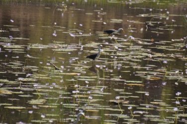 Bardedjilidji Sandstone Walk Kakadu 068 2021 08 08 12 21 48 DSC 0166 Bardedjilidji Sandstone Walk Kakadu 068 2021 08 08 12 21 48 DSC 0166