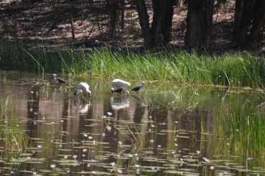 Bardedjilidji Sandstone Walk Kakadu 073 2021 08 08 12 22 35 DSC 0171 Bardedjilidji Sandstone Walk Kakadu 073 2021 08 08 12 22 35 DSC 0171