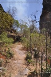 Bardedjilidji Sandstone Walk Kakadu 086 2021 08 08 12 45 56 DSC 0184 Bardedjilidji Sandstone Walk Kakadu 086 2021 08 08 12 45 56 DSC 0184