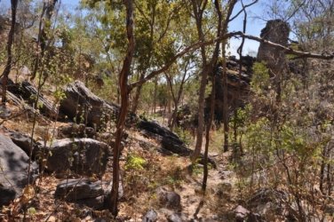 Bardedjilidji Sandstone Walk Kakadu 087 2021 08 08 12 46 53 DSC 0185 Bardedjilidji Sandstone Walk Kakadu 087 2021 08 08 12 46 53 DSC 0185