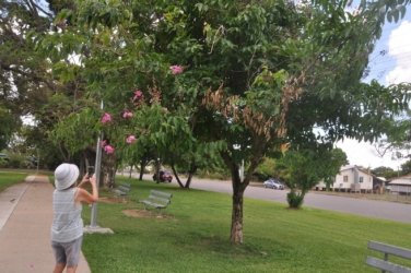 Bivouac Jcn Charters Towers 050 DSC 0661 2021 11 17 11h17m20s Bivouac Jcn Charters Towers 050 DSC 0661 2021 11 17 11h17m20s