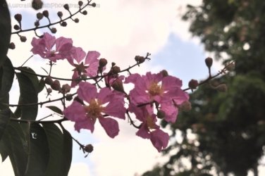 Bivouac Jcn Charters Towers 051 DSC 0662 2021 11 17 11h17m33s Bivouac Jcn Charters Towers 051 DSC 0662 2021 11 17 11h17m33s