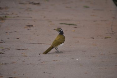 Bivouac Jcn Charters Towers 053 DSC 0664 2021 11 17 11h18m05s Bivouac Jcn Charters Towers 053 DSC 0664 2021 11 17 11h18m05s