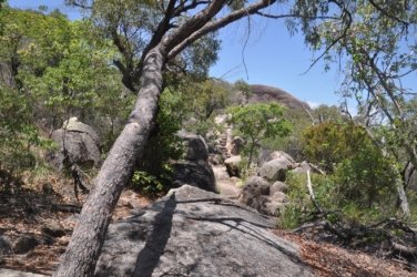 Bowen Horseshoe Bay Walks 024 DSC 0855 2021 12 06 10h53m45s