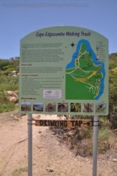 Bowen Horseshoe Bay Walks 035 DSC 0866 2021 12 06 11h20m13s