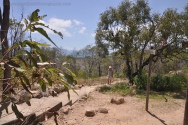Bowen Mother Beddock Lookout 013 DSC 0994 1 Bowen Mother Beddock Lookout 013 DSC 0994 1