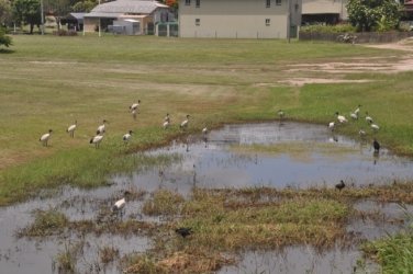 Bowen Mullers Lagoon 019 DSC 0913 2021 12 09 10h18m33s Bowen Mullers Lagoon 019 DSC 0913 2021 12 09 10h18m33s