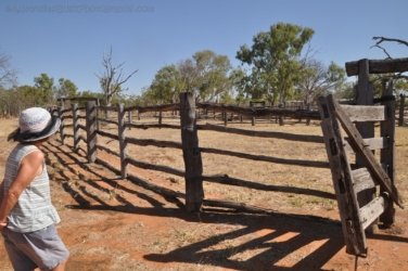 Bullita 009 DSC 0613 Bullita 009 DSC 0613