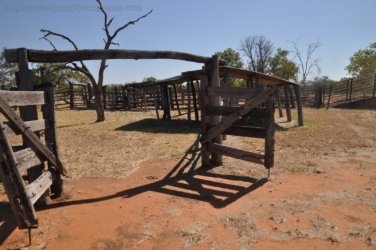 Bullita 010 DSC 0614 Bullita 010 DSC 0614