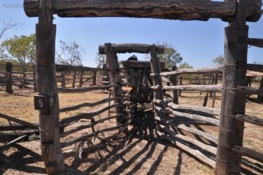 Bullita 011 DSC 0615 Bullita 011 DSC 0615