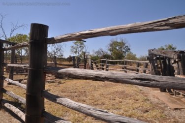 Bullita 012 DSC 0616 Bullita 012 DSC 0616