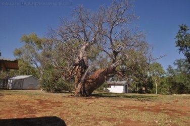 Bullita 016 DSC 0620 Bullita 016 DSC 0620
