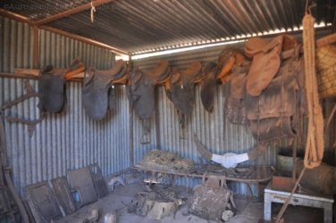 Bullita 021 DSC 0625 Bullita 021 DSC 0625