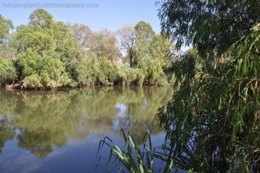 Bullita 026 DSC 0630 Bullita 026 DSC 0630