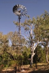 Bullita 044 DSC 0648 Bullita 044 DSC 0648